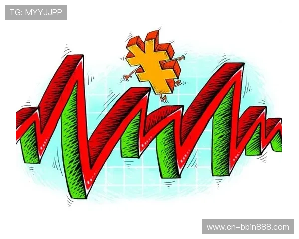 宝盈集团应对经济波动的风险管理体系与应变策略