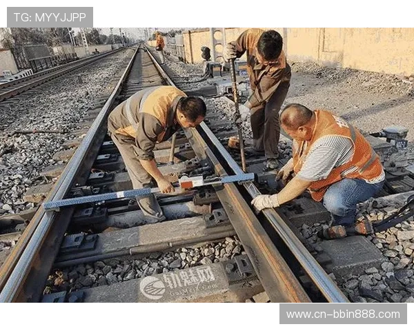 一分快三历史走势数据详解，助你理解开奖趋势实现精准投注